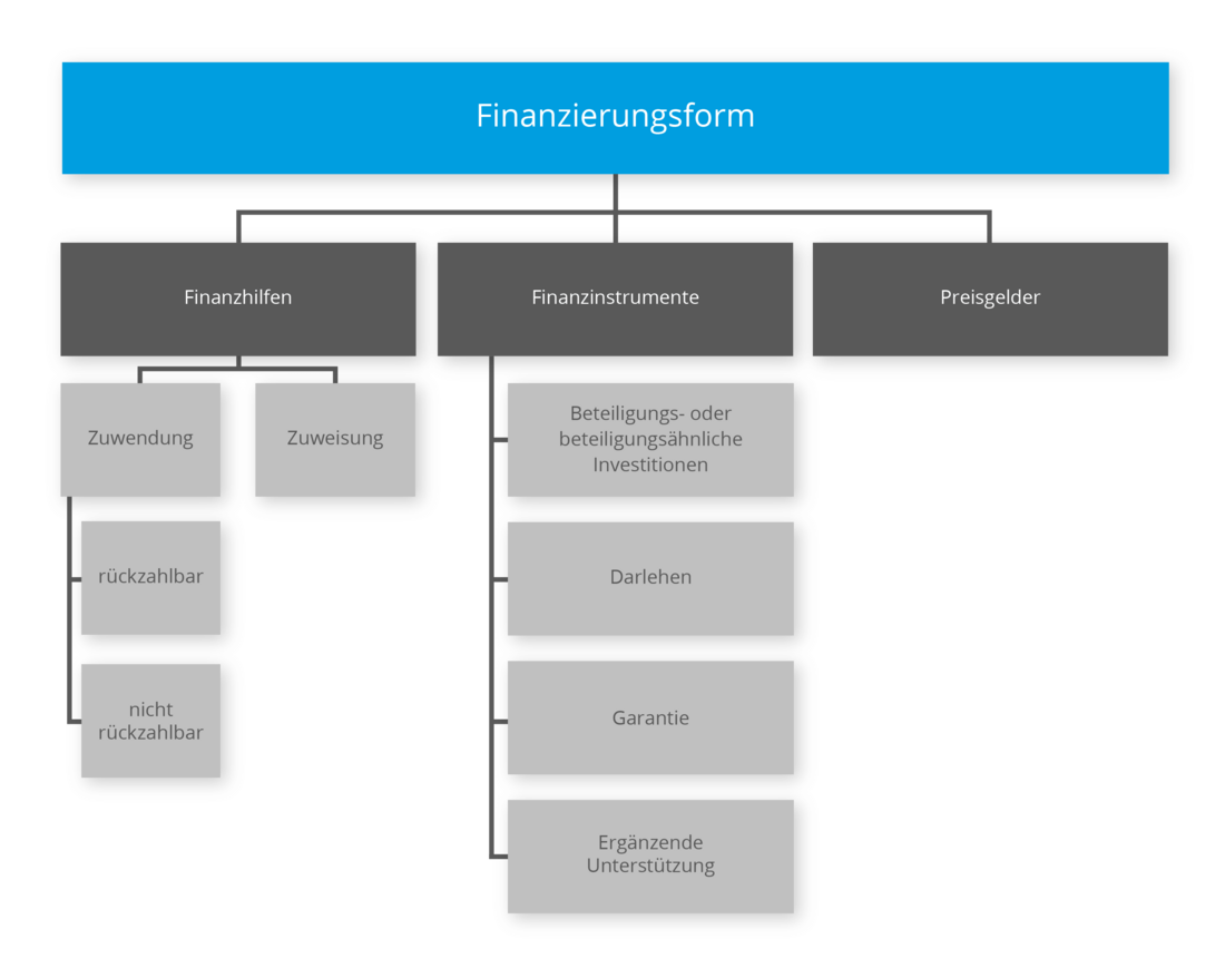 Fördermittelverwaltungssoftware: Finanzierungsformen