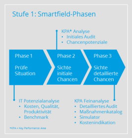 IT-Potenzialanalyse