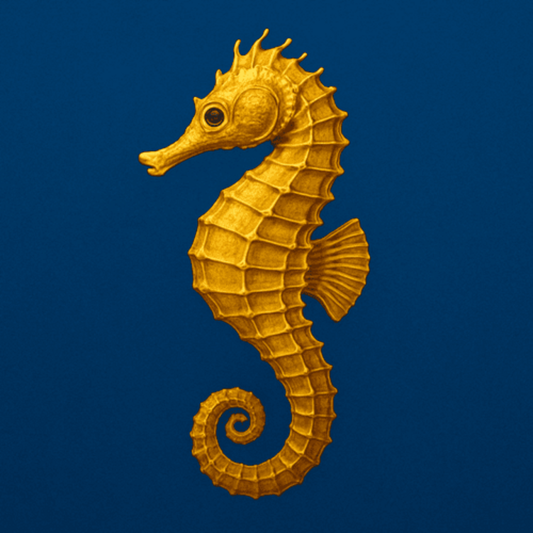 Turngemeinschaft Süd-Ost