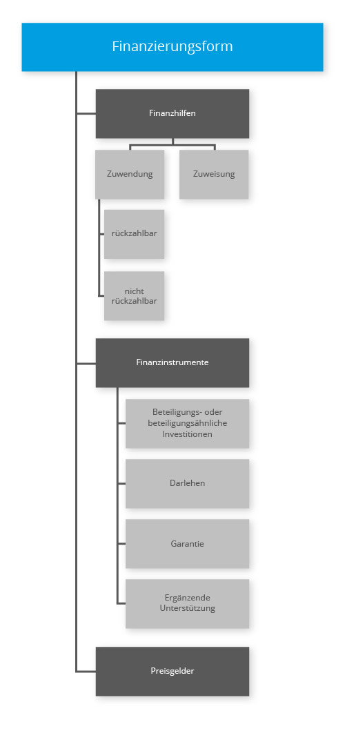 Fördermittelverwaltungssoftware: Finanzierungsformen