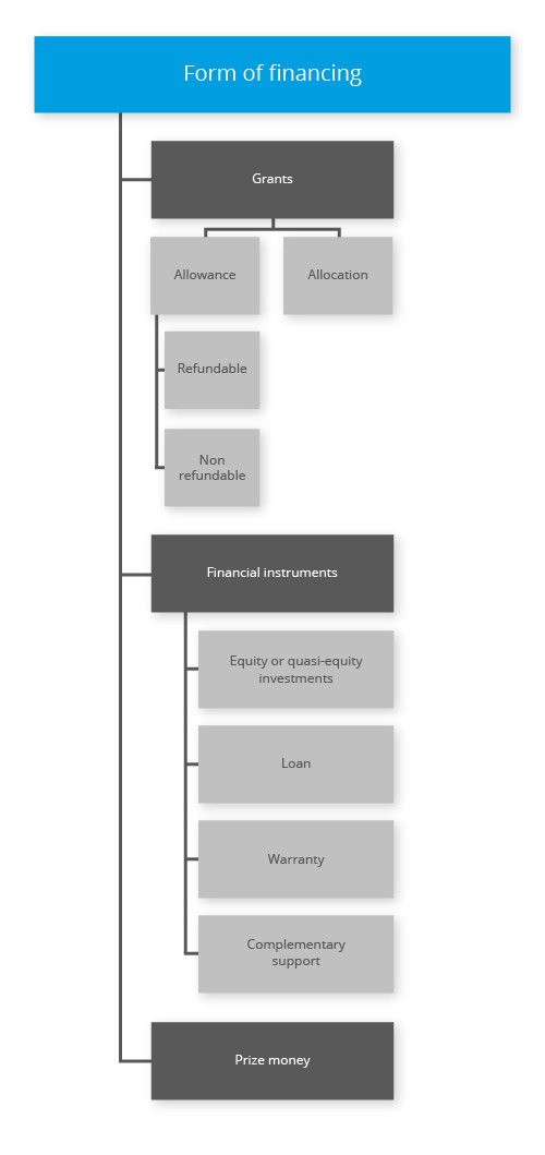 Grant management software: Form of financing