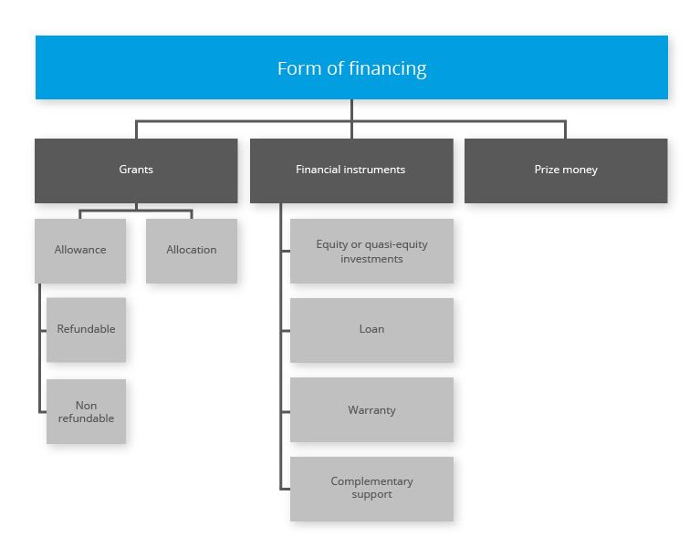 Grant management software: Form of financing