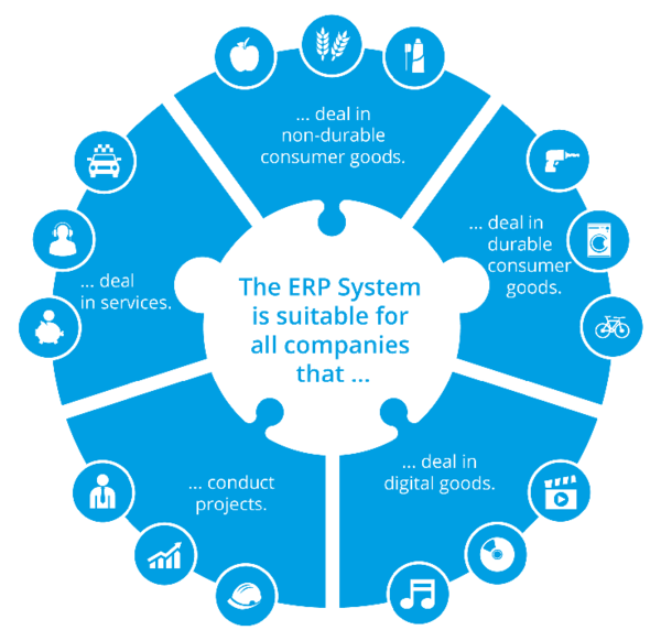 ERP System use cases