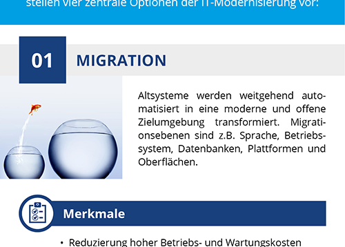 Software Modernisierung Infografik: 4 Wege der IT-Modernisierung