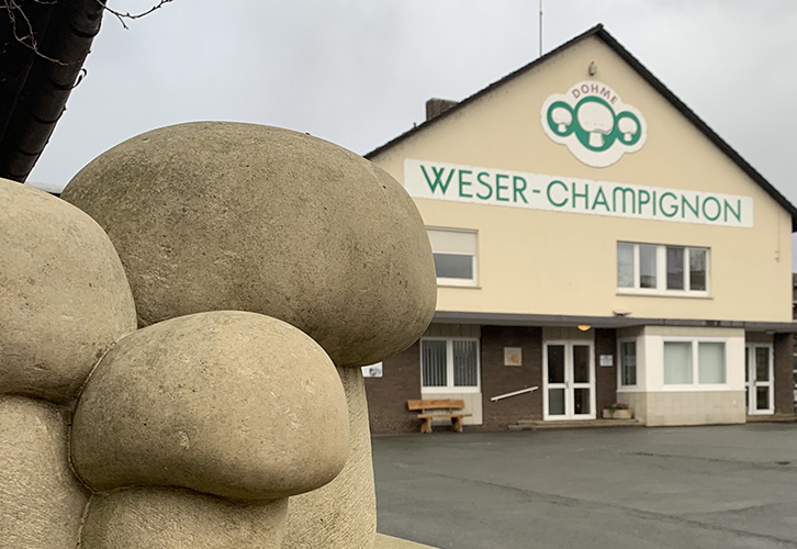 [Translate to Englisch:] Digitale IT-Inventarisierung beim Pilzexperten. 