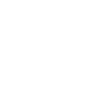 SaaS (Cloud)