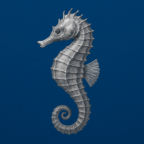 Tuerngemeinschaft Süd-Ost